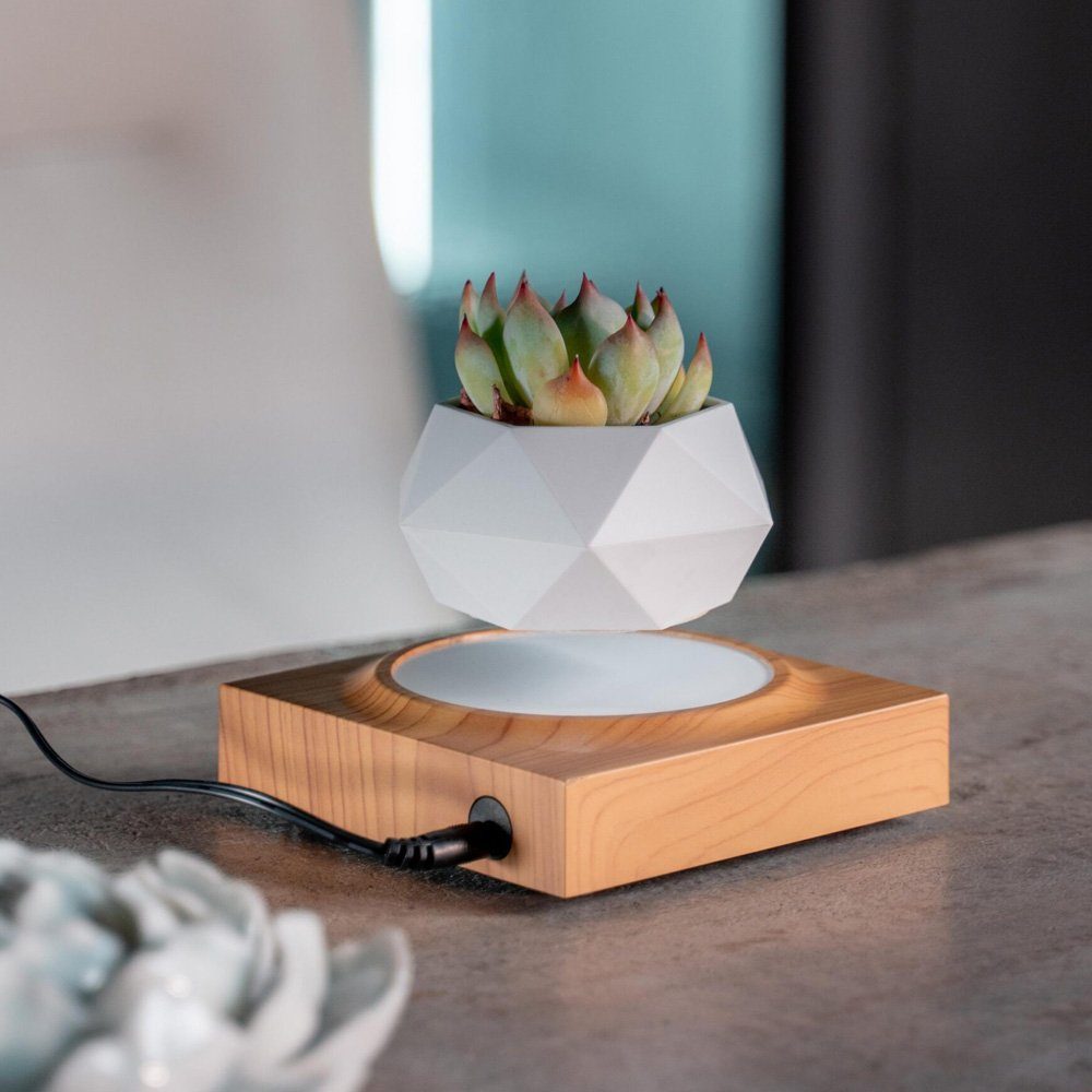 Магнітний левітаційний горщик для рослин HCNT Magnetic Levitating Pot M10-FP  Wood Grain (SIM10-FP) 3