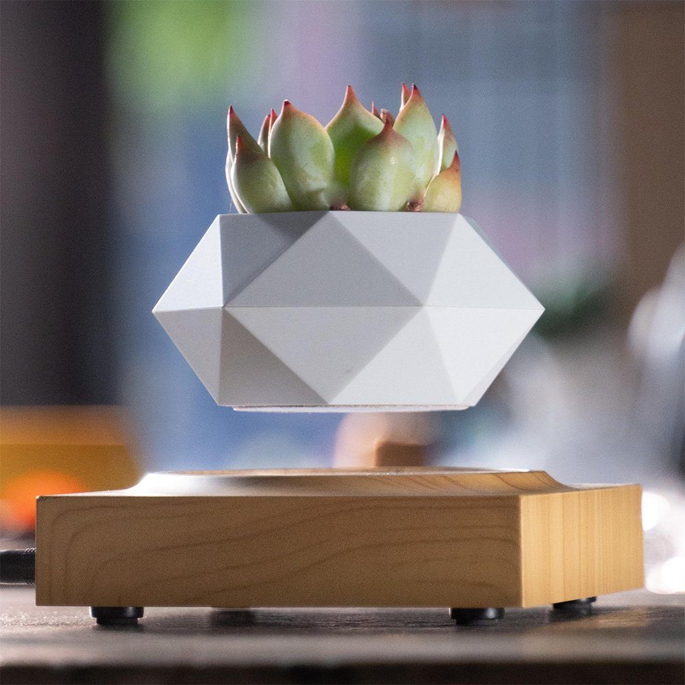 Магнітний левітаційний горщик для рослин HCNT Magnetic Levitating Pot M10-FP  Wood Grain (SIM10-FP) 2