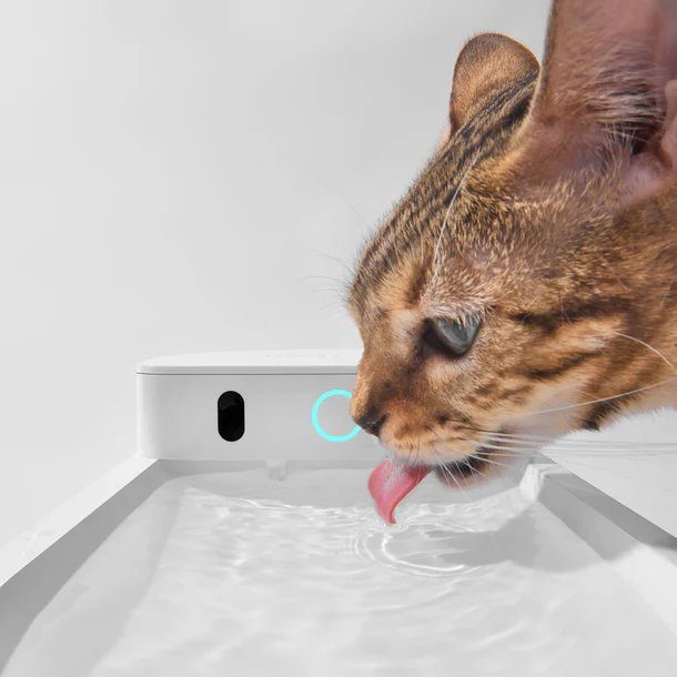 Поїлка CATLINK AI Water Fountain - Wired (6972884750880) 3