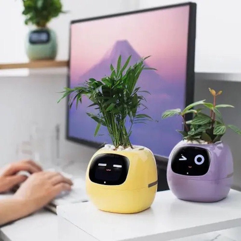 Інтерактивний розумний горщик для рослин Ivy Smart Planter Tuya AI, Green (ISPTAG) 3