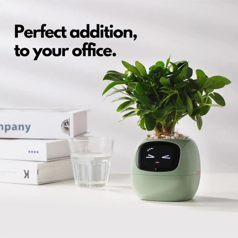 Інтерактивний розумний горщик для рослин Ivy Smart Planter Tuya AI, White (ISPTAW) 5