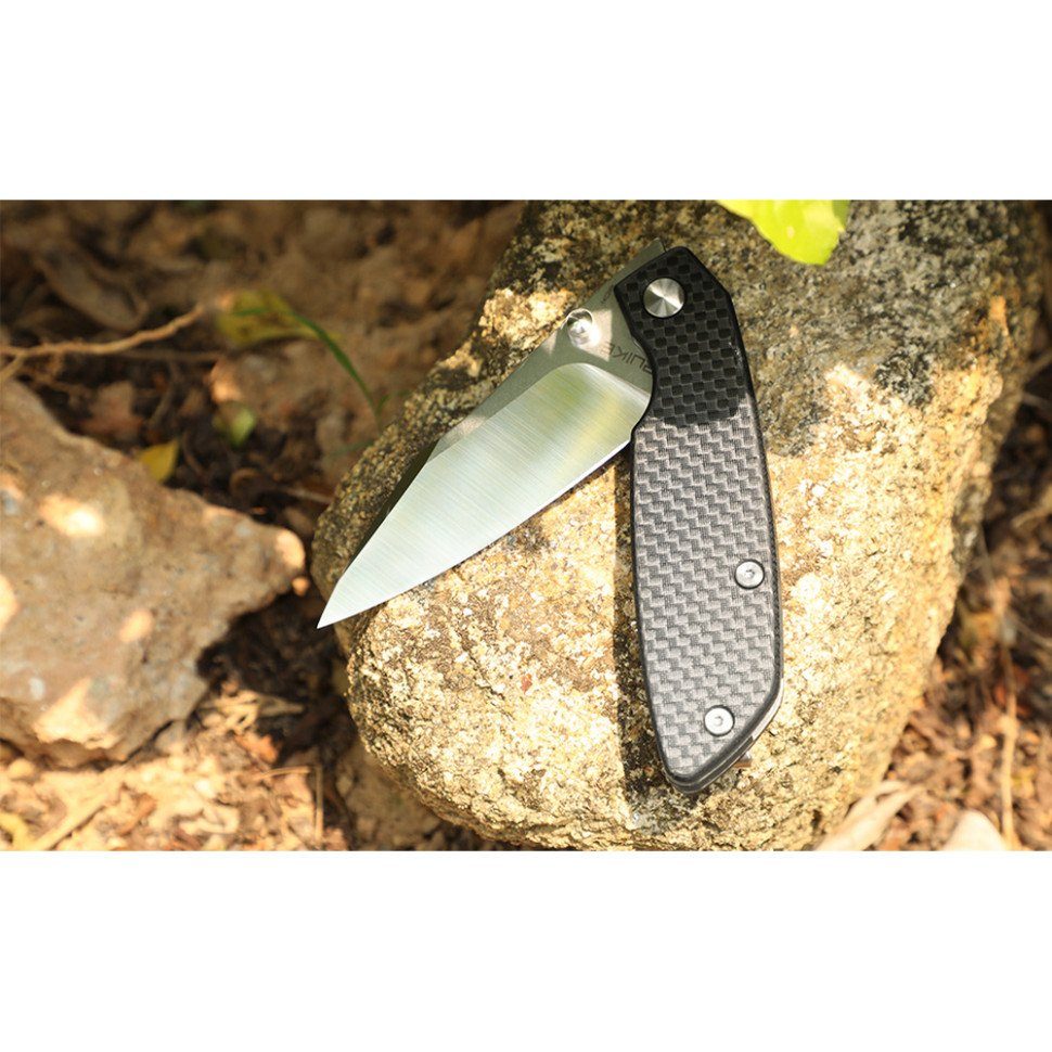 Ніж складаний туристичний Ruike P746-CB, (8 см) 14C28N / G10 чорний 10
