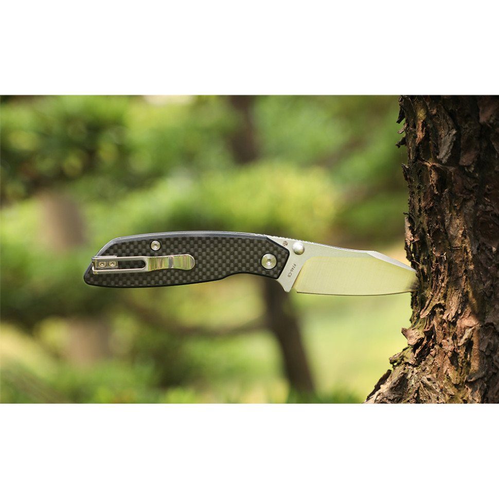 Ніж складаний туристичний Ruike P746-CB, (8 см) 14C28N / G10 чорний 9