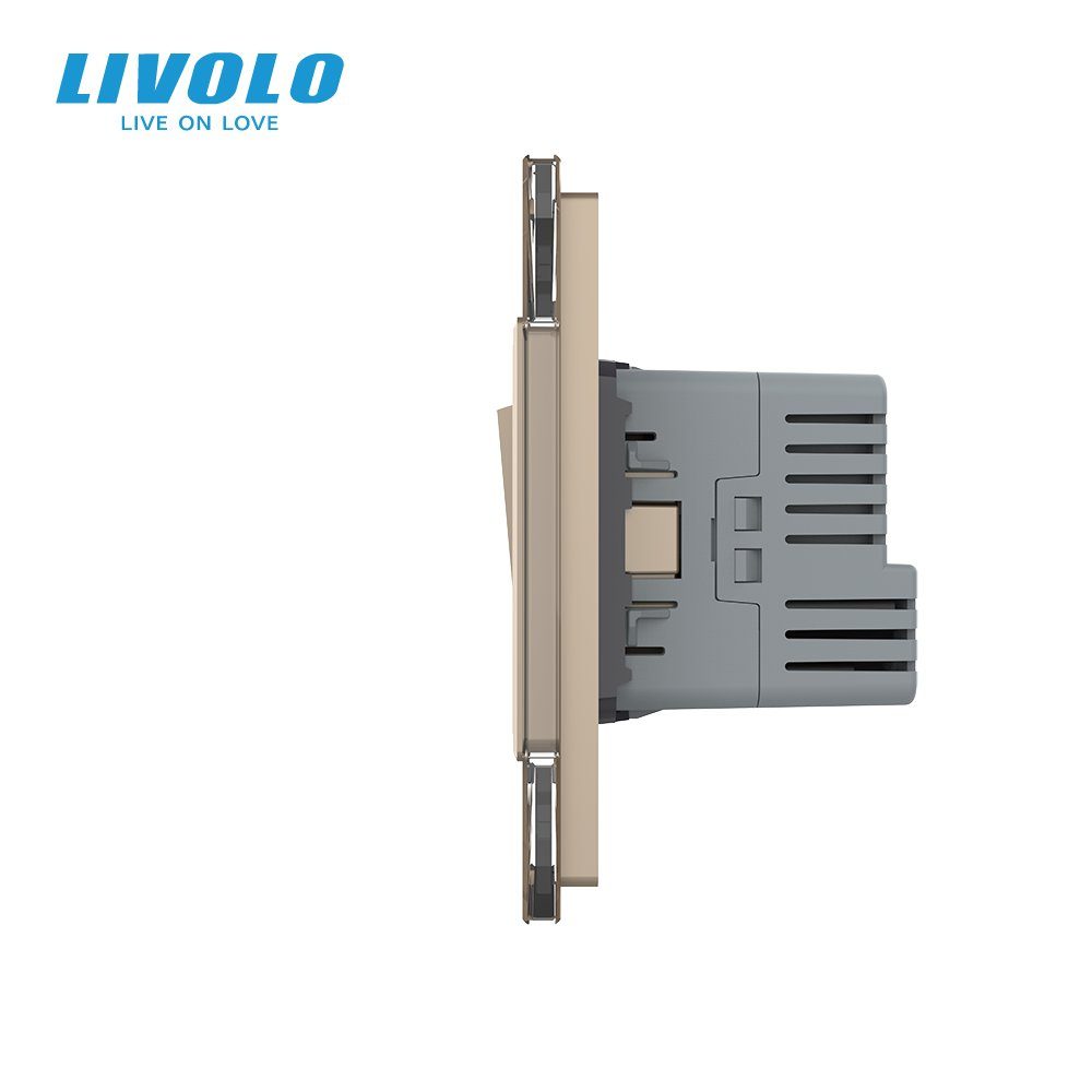 Універсальний вимикач (звичайний / прохідний) з USB Type-C 18 Вт, заземлення, LIVOLO золото скло 2