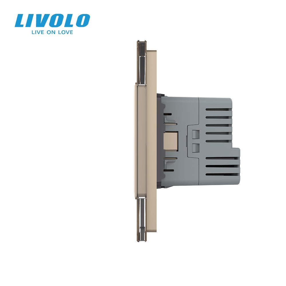Сенсорний димер LIVOLO з двома розетками з USB Type-C 18Вт, золотий, скло, 16A 230V, із заземленням, шторки 2