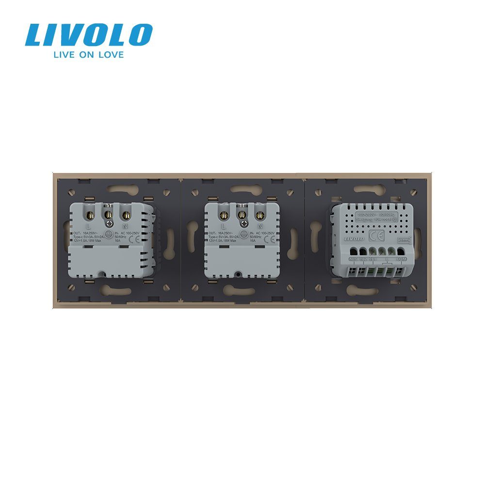 Сенсорний димер LIVOLO з двома розетками з USB Type-C 18Вт, золотий, скло, 16A 230V, із заземленням, шторки 4