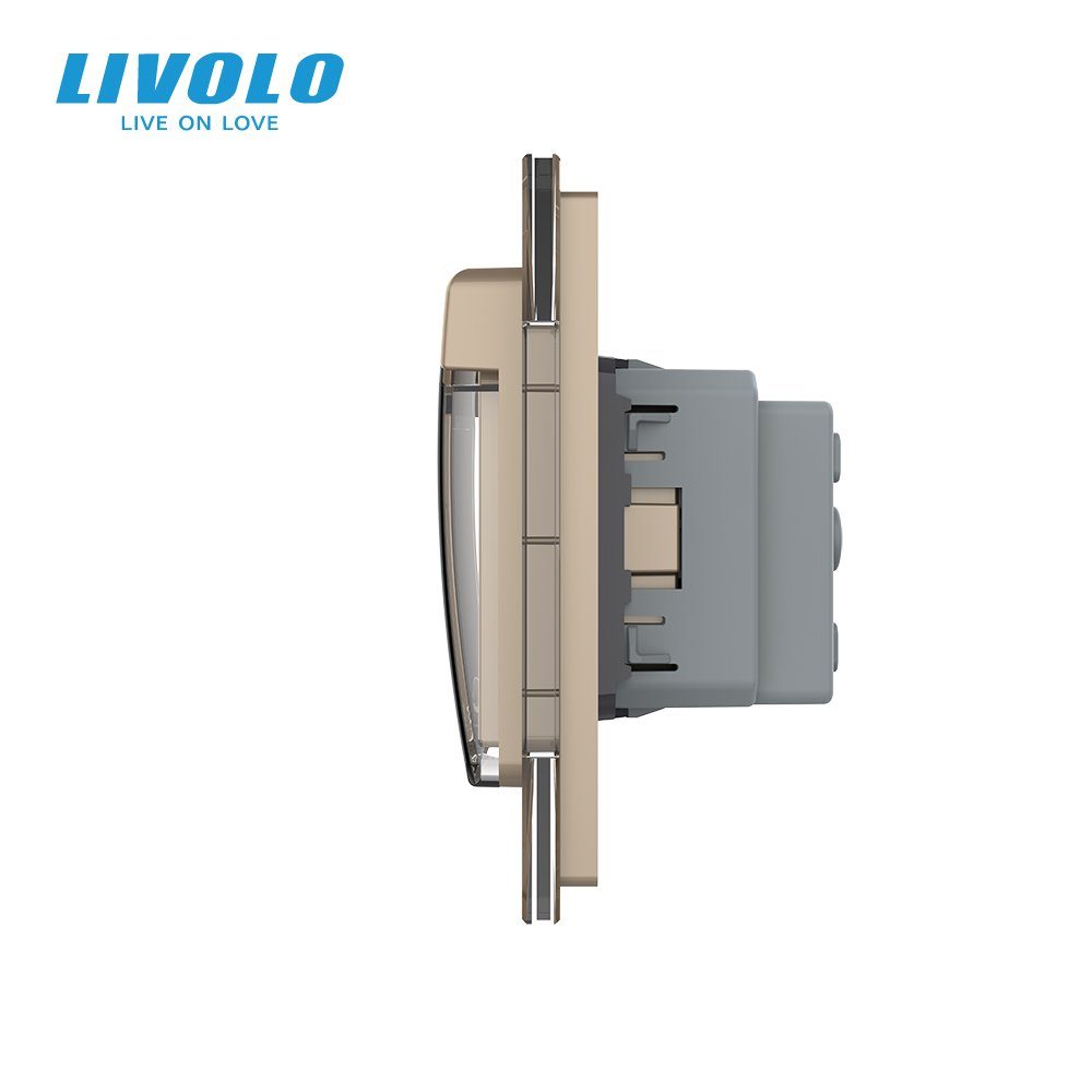 Сенсорний димер LIVOLO 2 сенсори (1-1) з розеткою IP44, кришка, 16A 230V, заземлення, золото скло 2