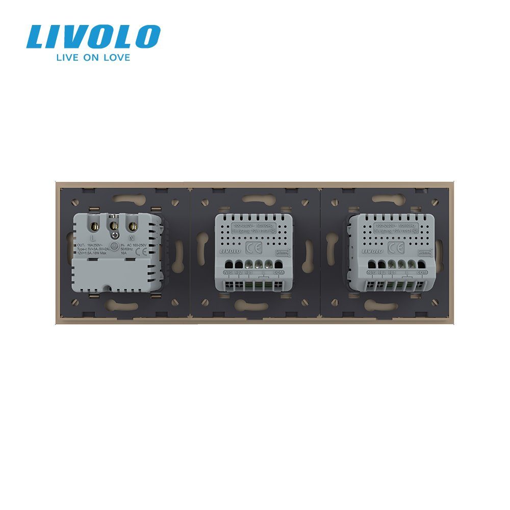 Сенсорний димер LIVOLO 2 сенсори (1-1) з розеткою з USB Type-C 18Вт, 16A 230V, заземлення, золото скло 4