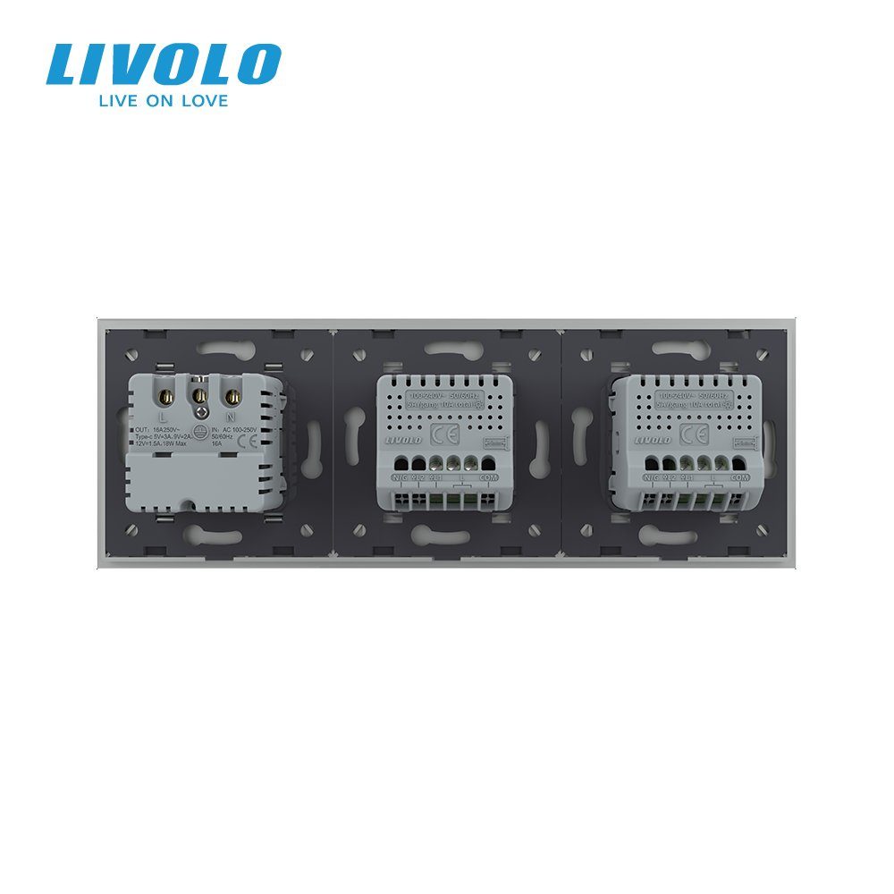 Сенсорний димер LIVOLO 2 сенсори (1-1) з розеткою з USB Type-C 18Вт, 16A 230V, заземлення, сірий скло 4