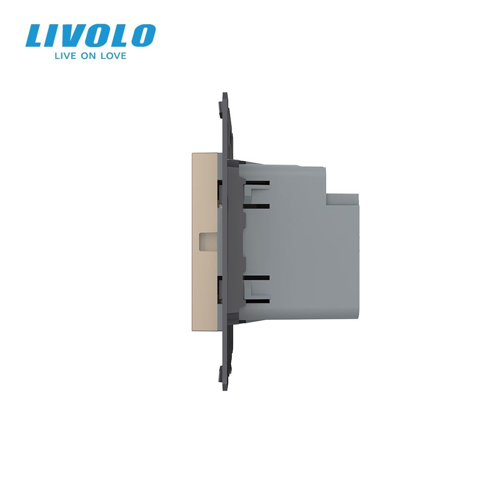 Розетка USB-A та USB-C LIVOLO з Power Delivery 36Вт, настінна, дизайнерська 2