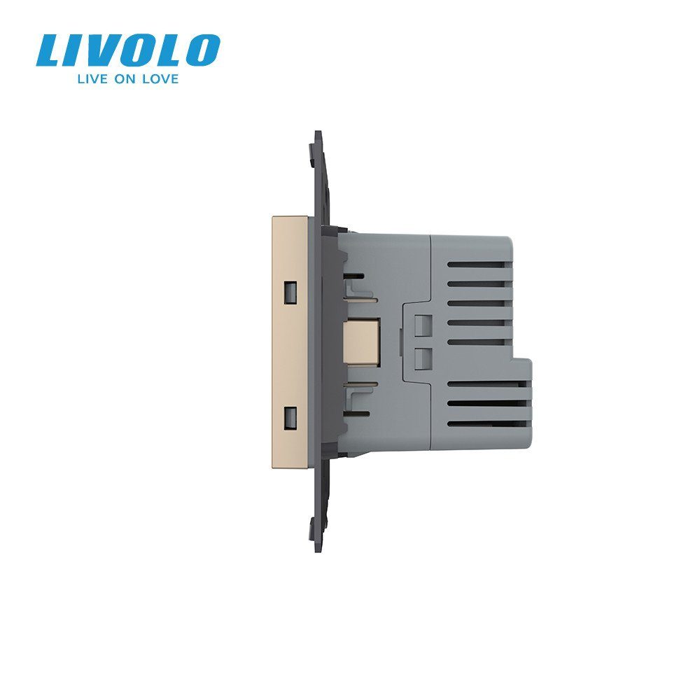 Електрична розетка з USB Type-C 18 Вт для зарядки, LIVOLO золота, з заземленням, 250 В 16 А 2