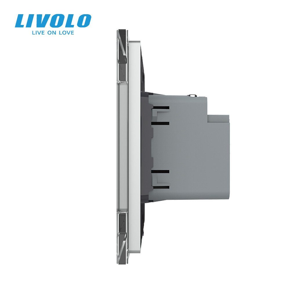 Розетка USB Type-C LIVOLO з Power Delivery 45Вт, сіра, настінна, дизайнерська, скляна рамка 2