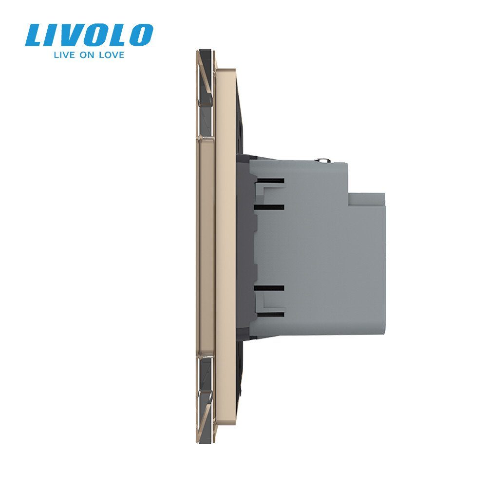Розетка USB Type-C LIVOLO з Power Delivery 45Вт, золота, настінна, дизайнерська, скляна рамка 2