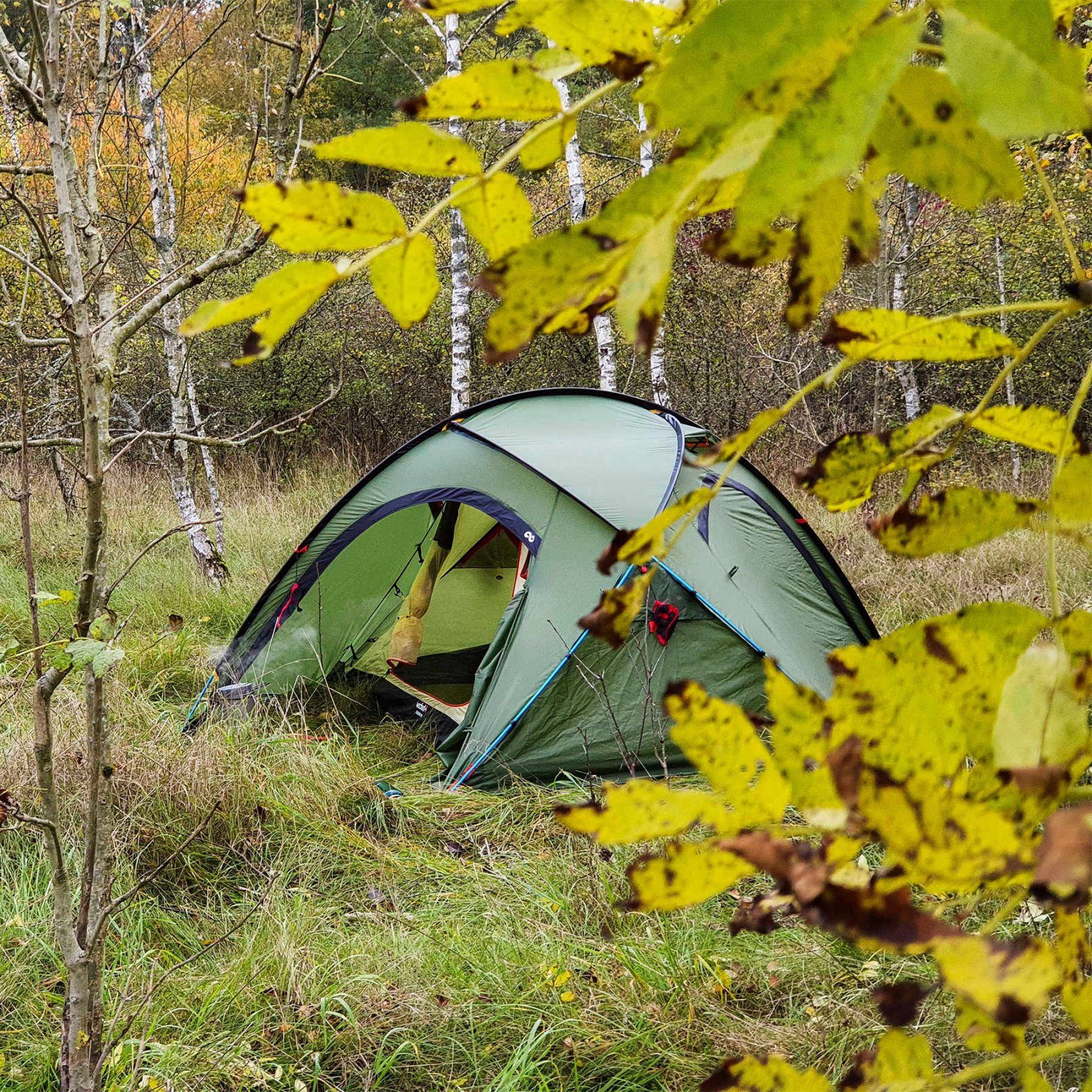 Намет Wechsel Forum 4 2 UL Green (231082) 10