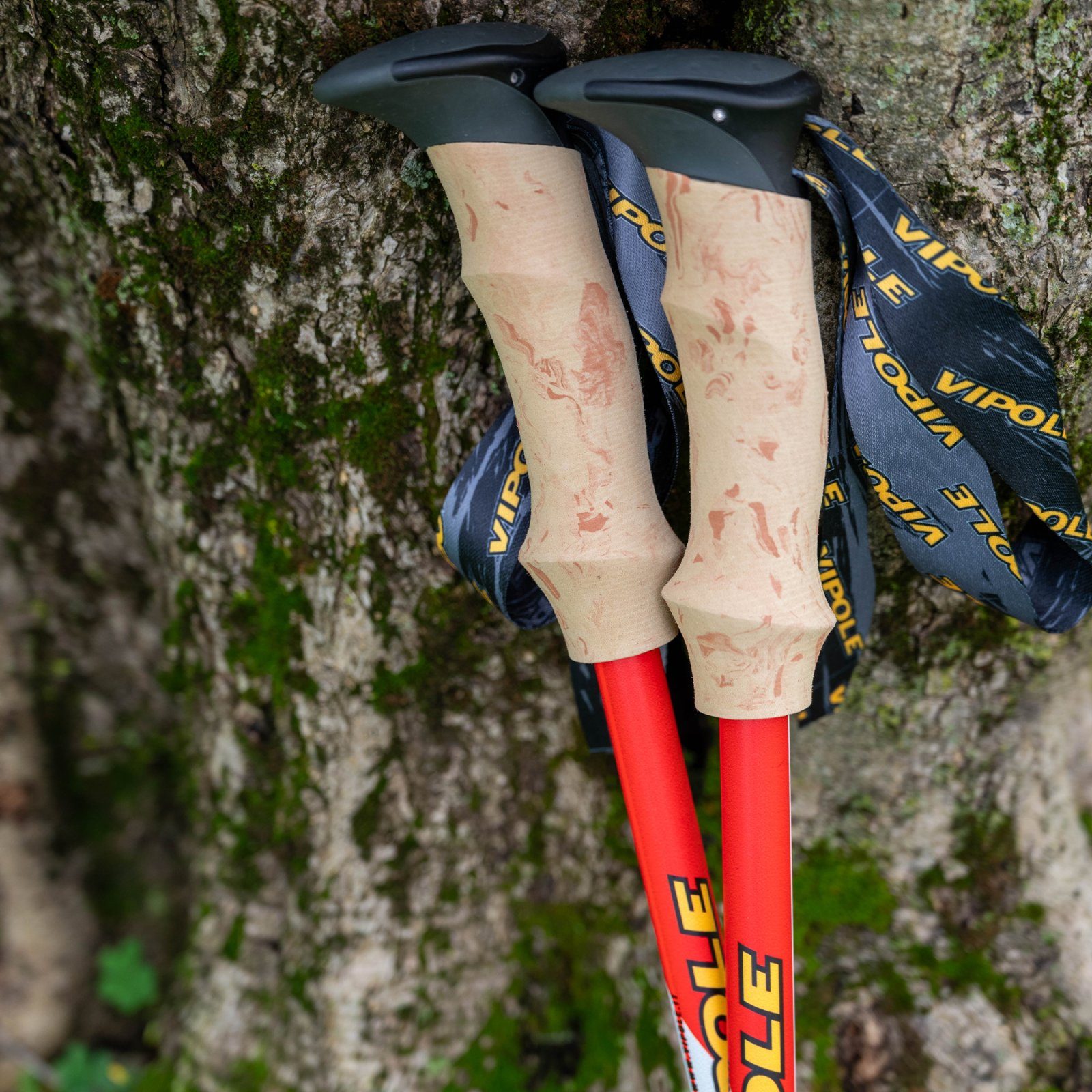 Палиці трекінгові Vipole Trekker Cork (S25 09) 9