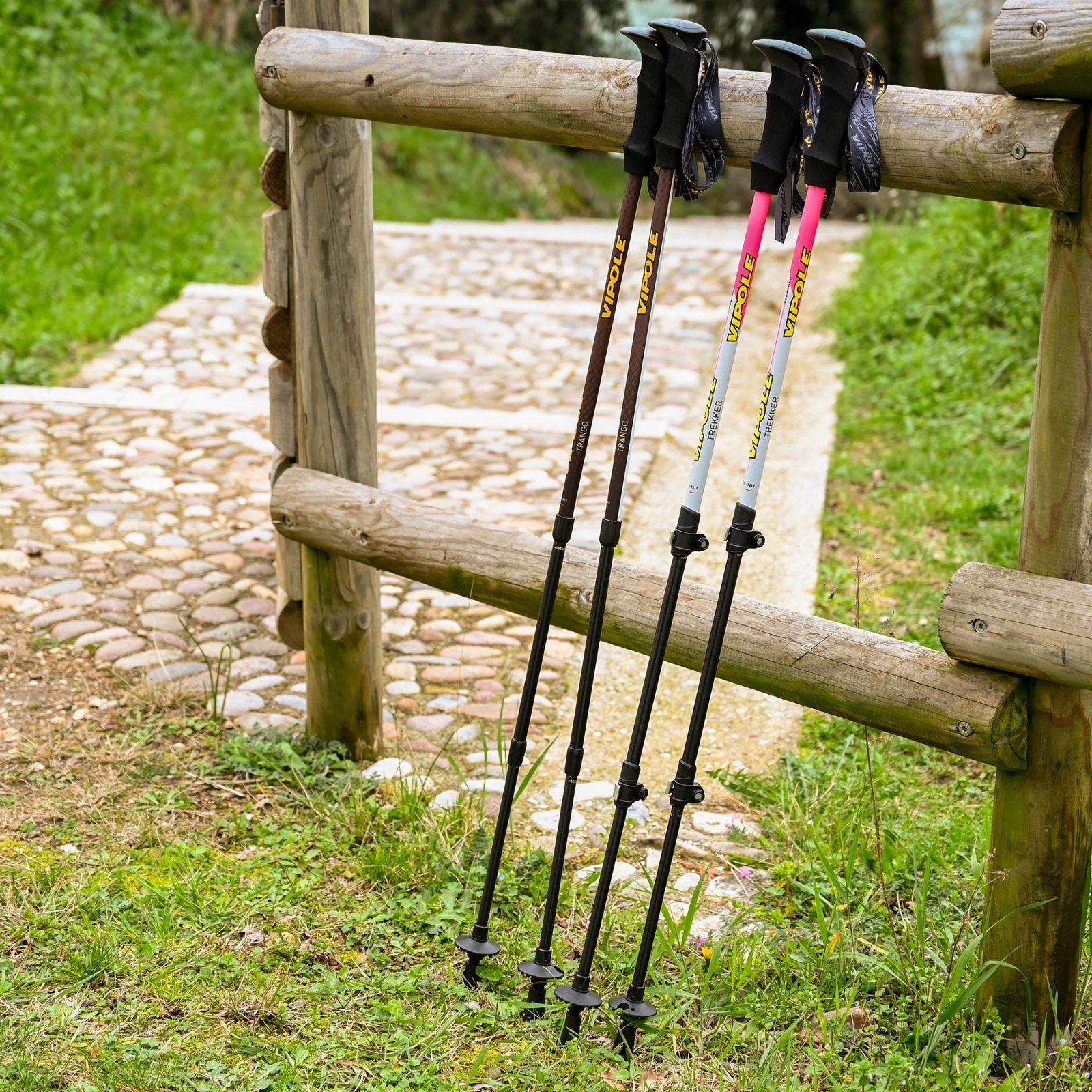 Палиці трекінгові Vipole Trekker Violet (S25 11) 11