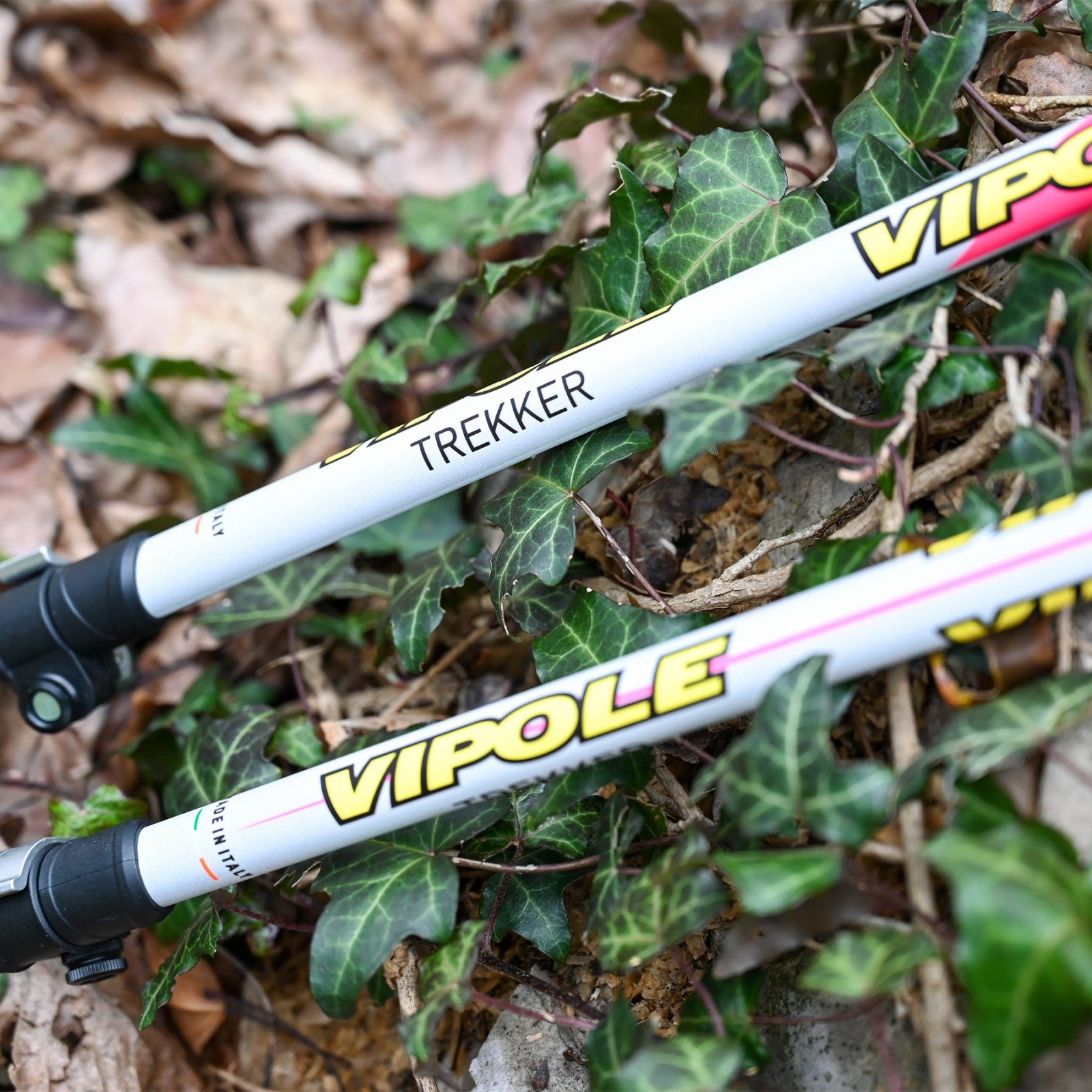 Палиці трекінгові Vipole Trekker Violet (S25 11) 6