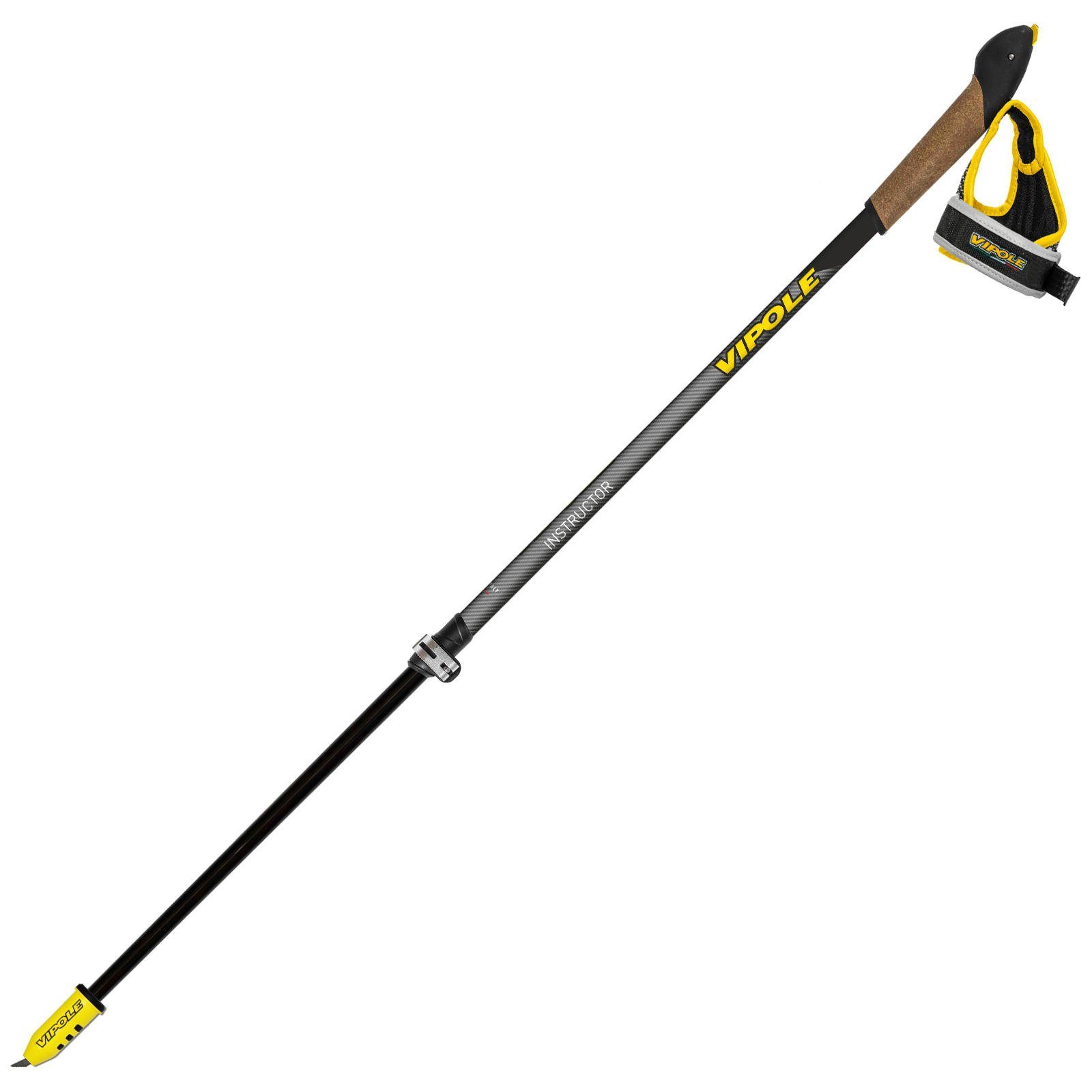 Палиці для скандинавської ходьби Vipole Instructor Vario QL Silent DLX (S25 24) 10