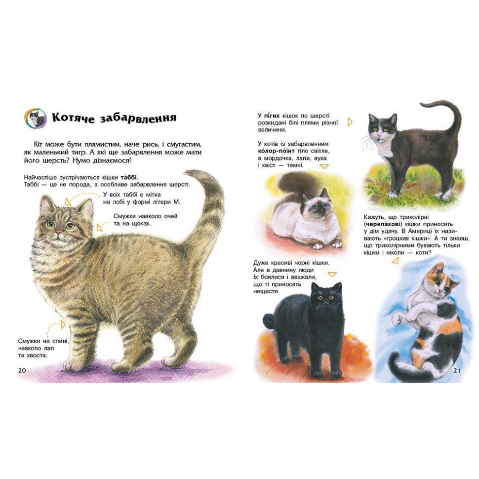 Енциклопедія дошкільника "Коти" 614039 для найменших 4