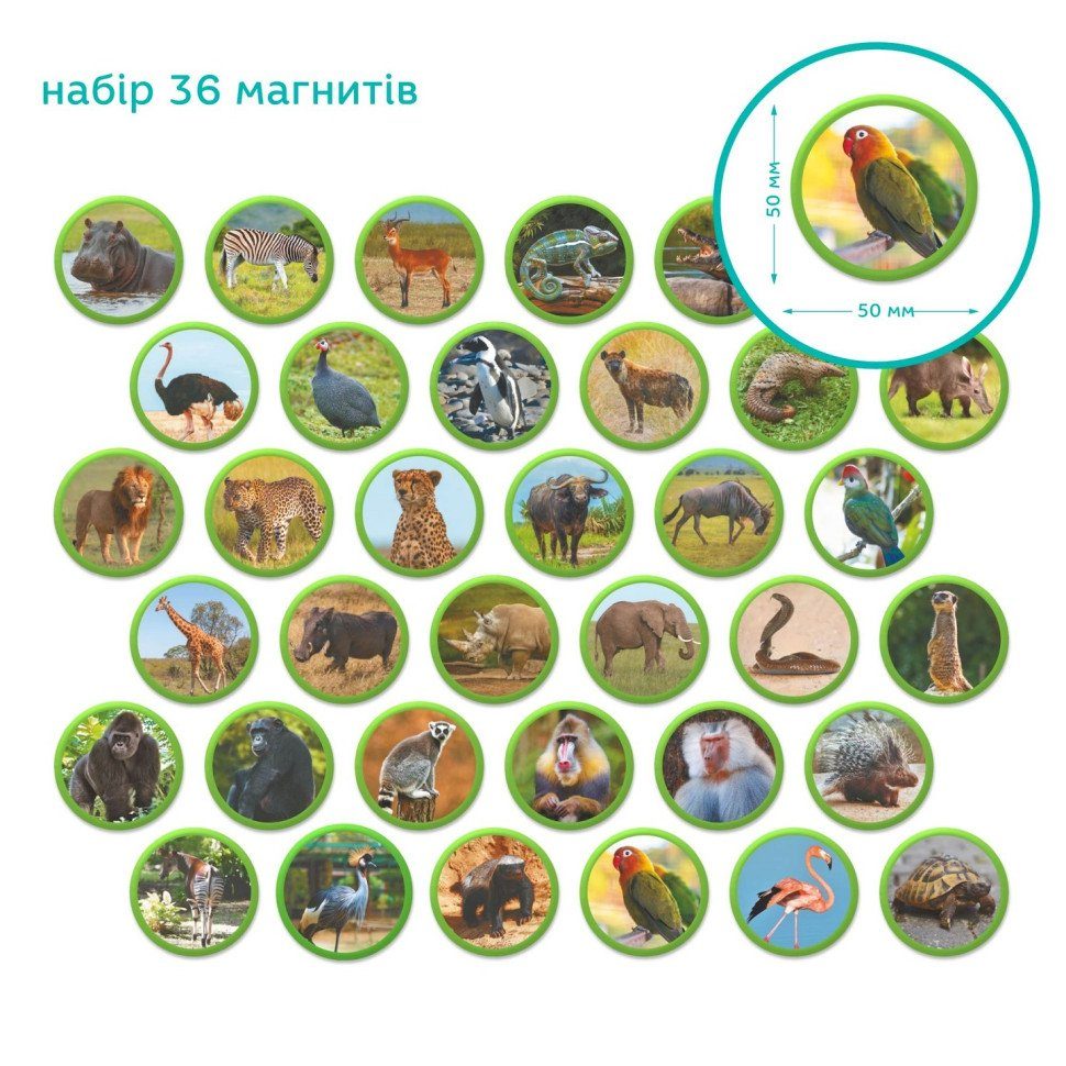Дитячий магнітний набір Монтесорі "Тварини на континентах: Африка" 200284, 36 елементів 4