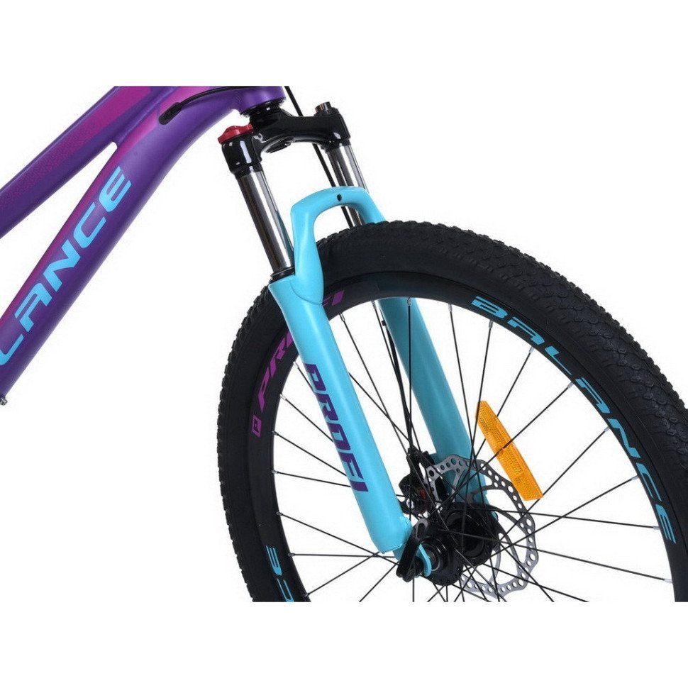 Велосипед дитячий "BALANCE" BL-2607, 26 дюймів, сливовий 6