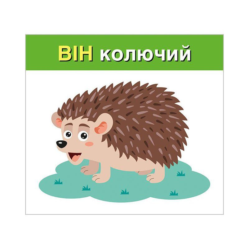 Навчальні картки "Вивчаємо займенники ВІН, ВОНА, ВОНО, ВОНИ" 10109168, 15 карток 3