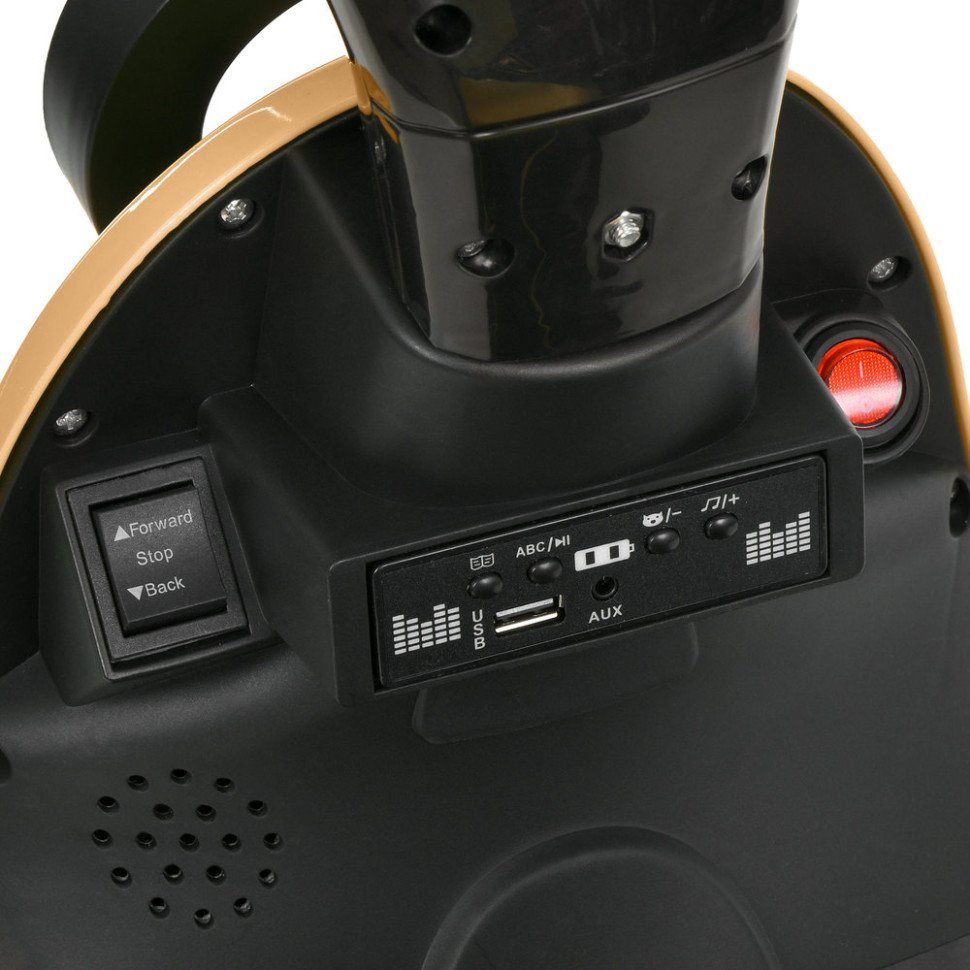Дитячий електромобіль Мотоцикл M 6298BR-13, до 25 кг 6