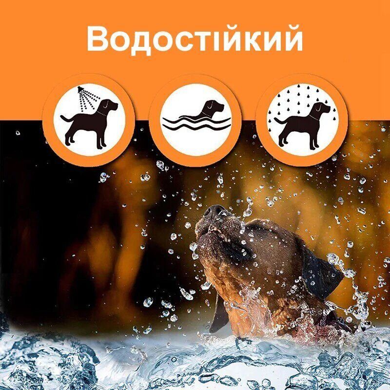 Нашийник антигавкіт ультразвуковий Digital Lion BK-C02, з током, синій/жовтий 9