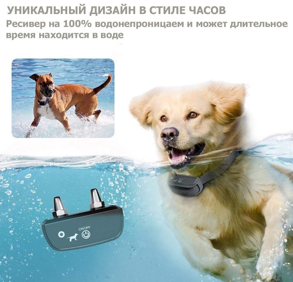 Годинник з електронашийником Digital Lion T213, нашийник електронний для дресирування собак, до 300 м, 6