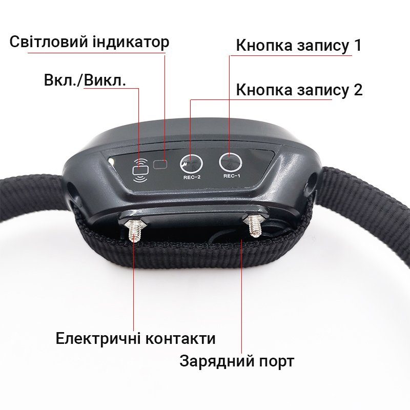 Електронашийник для дресирування собак iPets KJ118, із записом звукових команд, 4 режими, до 1км 5