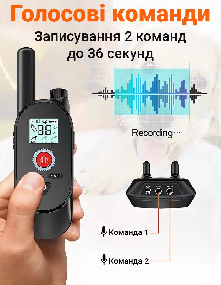 Електронашийник для дресирування собак iPets KJ118, із записом звукових команд, 4 режими, до 1км 8