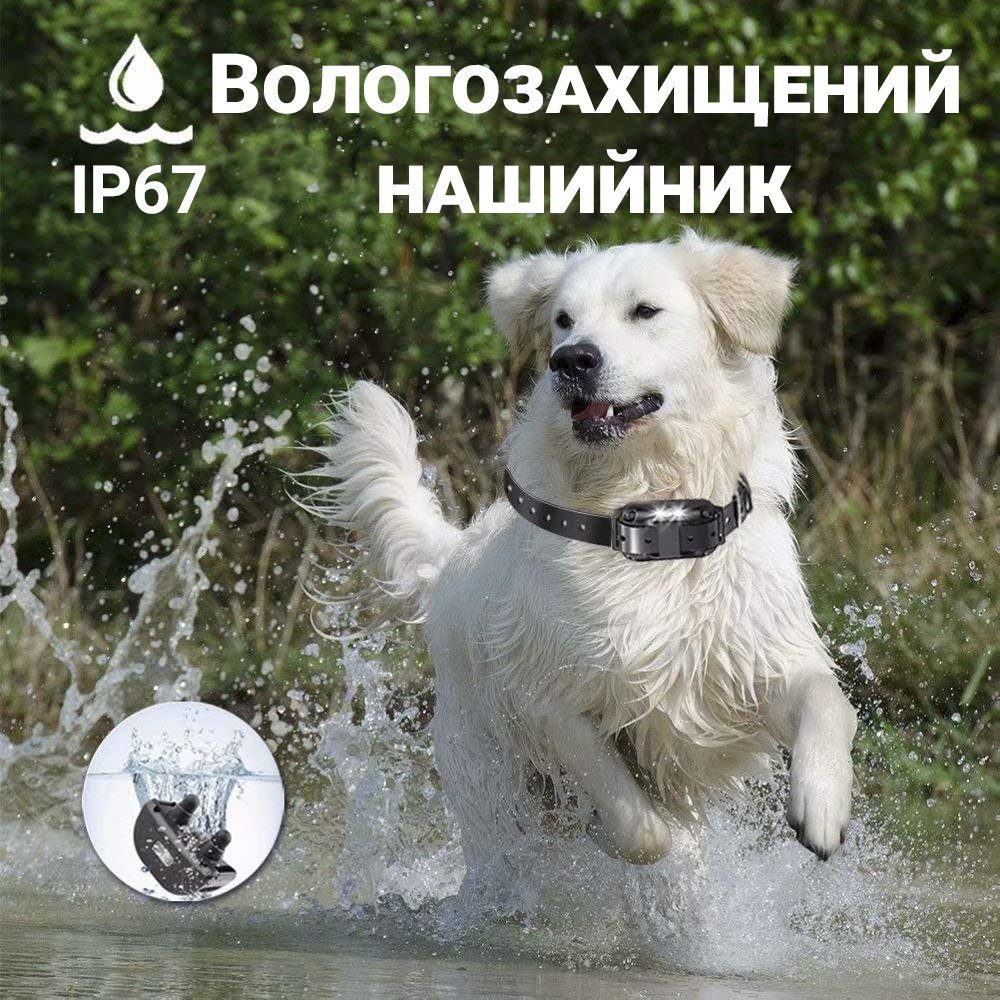 Додатковий ресивер з ремінцем для електронашийника Pet DTC-800 на 433 мГц, 8